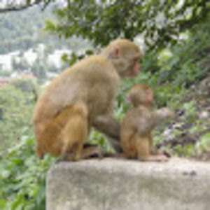 Meet your Posher, Elyse